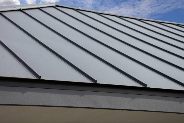 Best Roof Moss and Algae Removal  in Perryville, MD